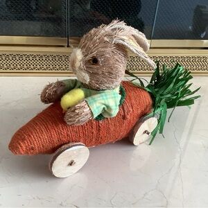 Easter Bunny Rabbit on Carrot Car